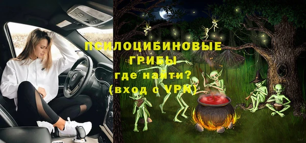 дживик Абинск