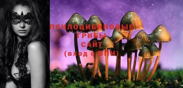эйфоретик Пересвет