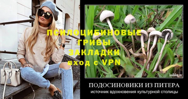 дживик Абинск
