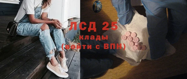 дживик Абинск