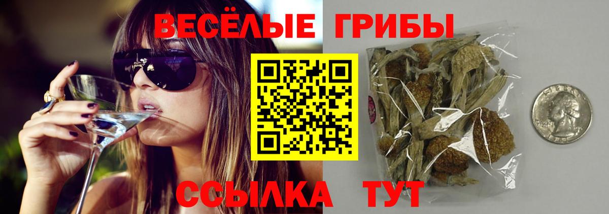 Краснодар  Галлюциногенные грибы Magic Shrooms  Вход с VPN 